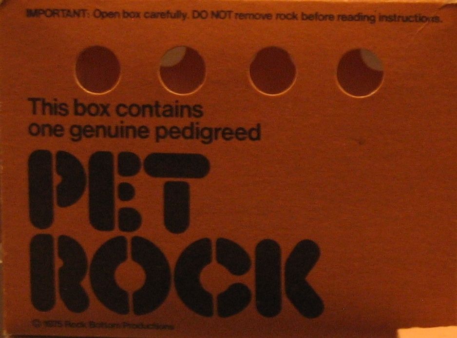 CarrierPetRock_Box.jpg