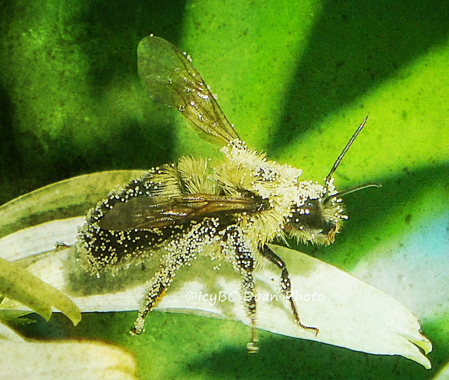 In the Spot Light.jpg