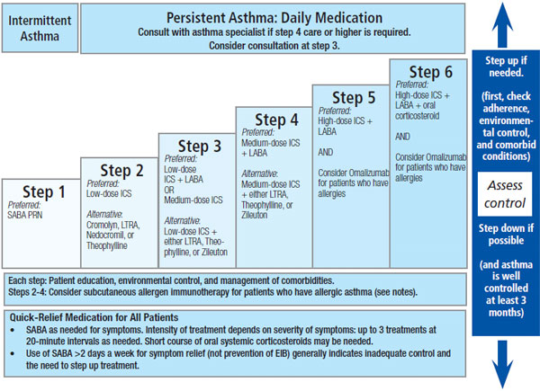 asthma3.jpg