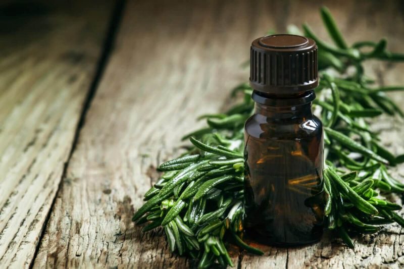 25-Uses-for-Tea-Tree-Oil-Keeper-of-the-Home-feat-800x533.jpeg