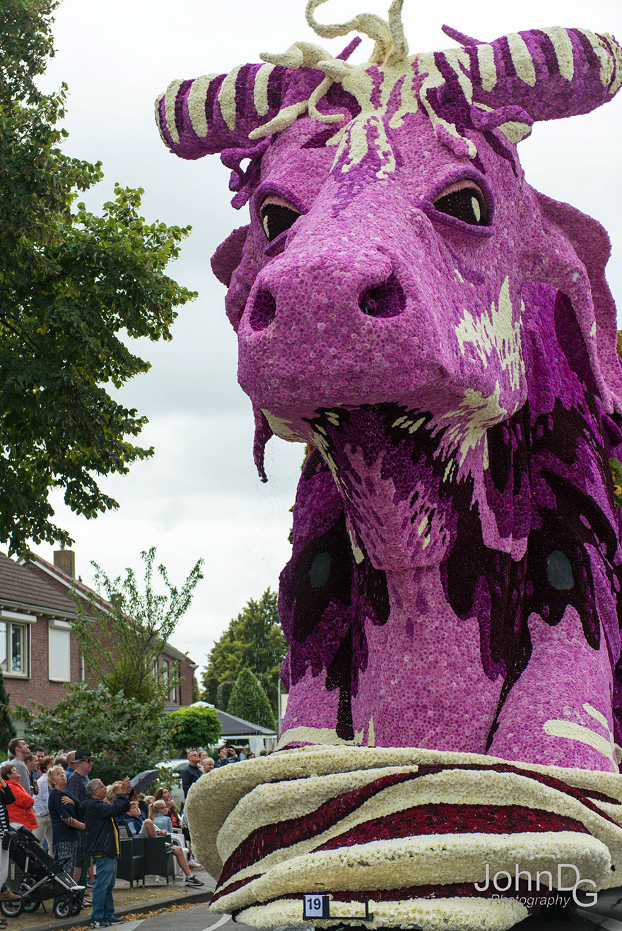 flower-sculpture-parade-corso-zundert-2016-netherlands-11.jpg