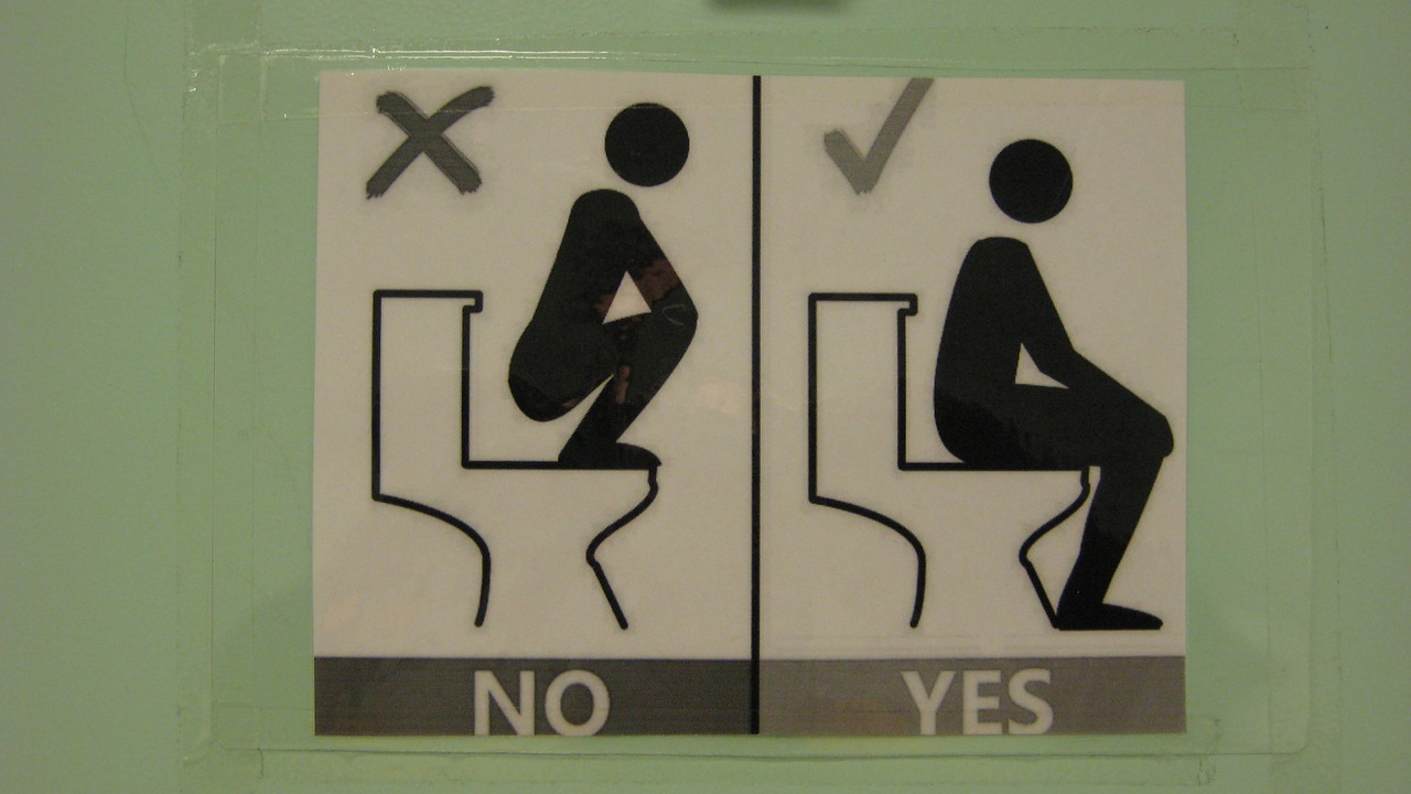 toilet-931649_1280.jpg