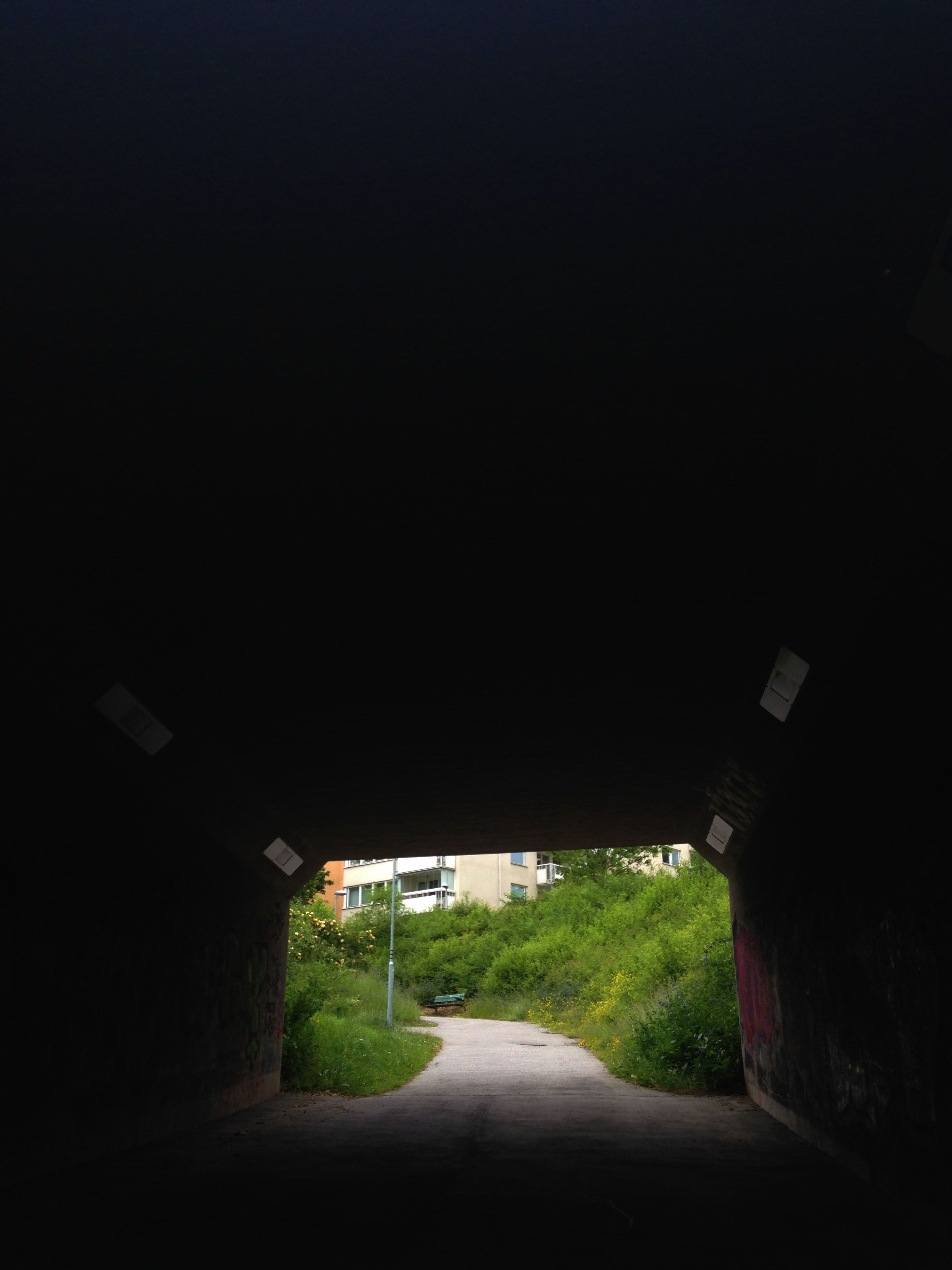 2164.JPG