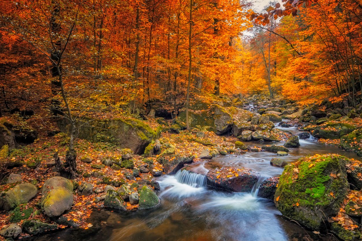 iStock-611867074.jpg