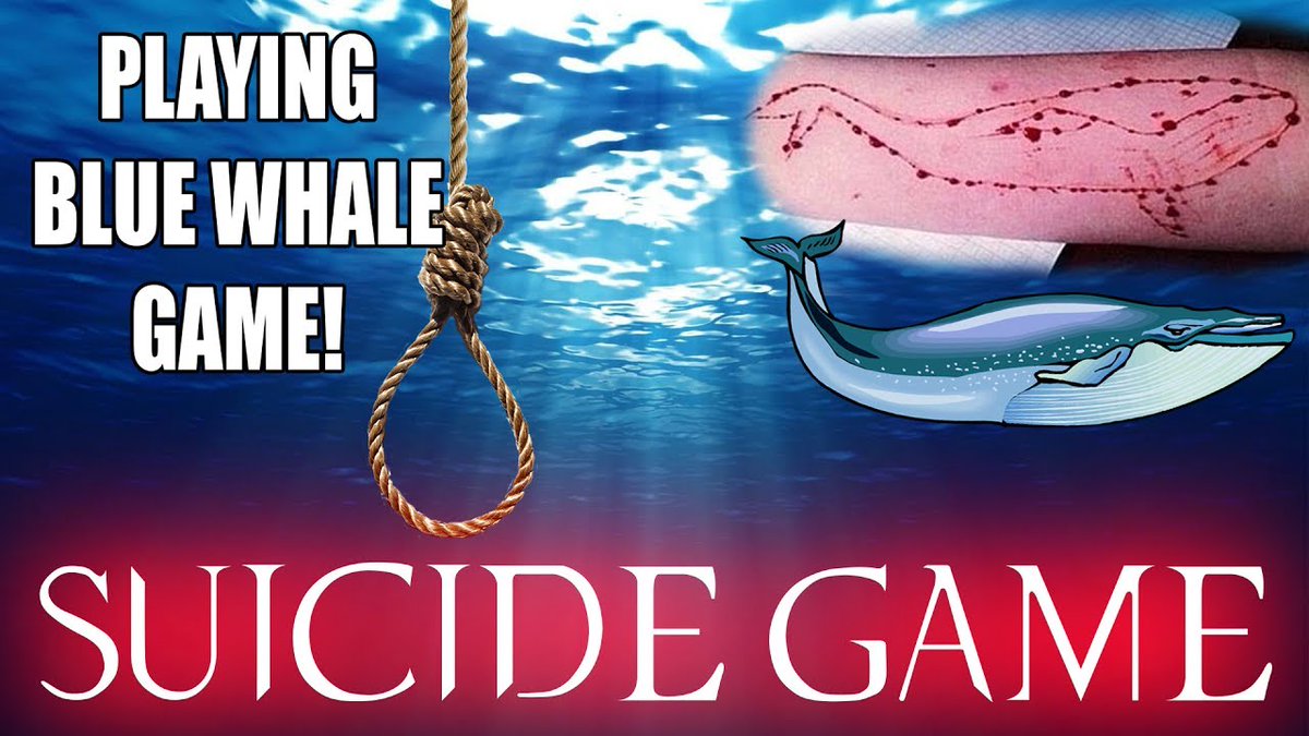 bluewhale.jpg