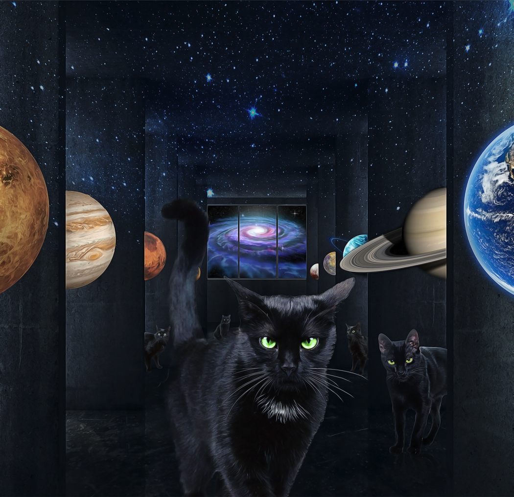 cats-space-insta.jpg