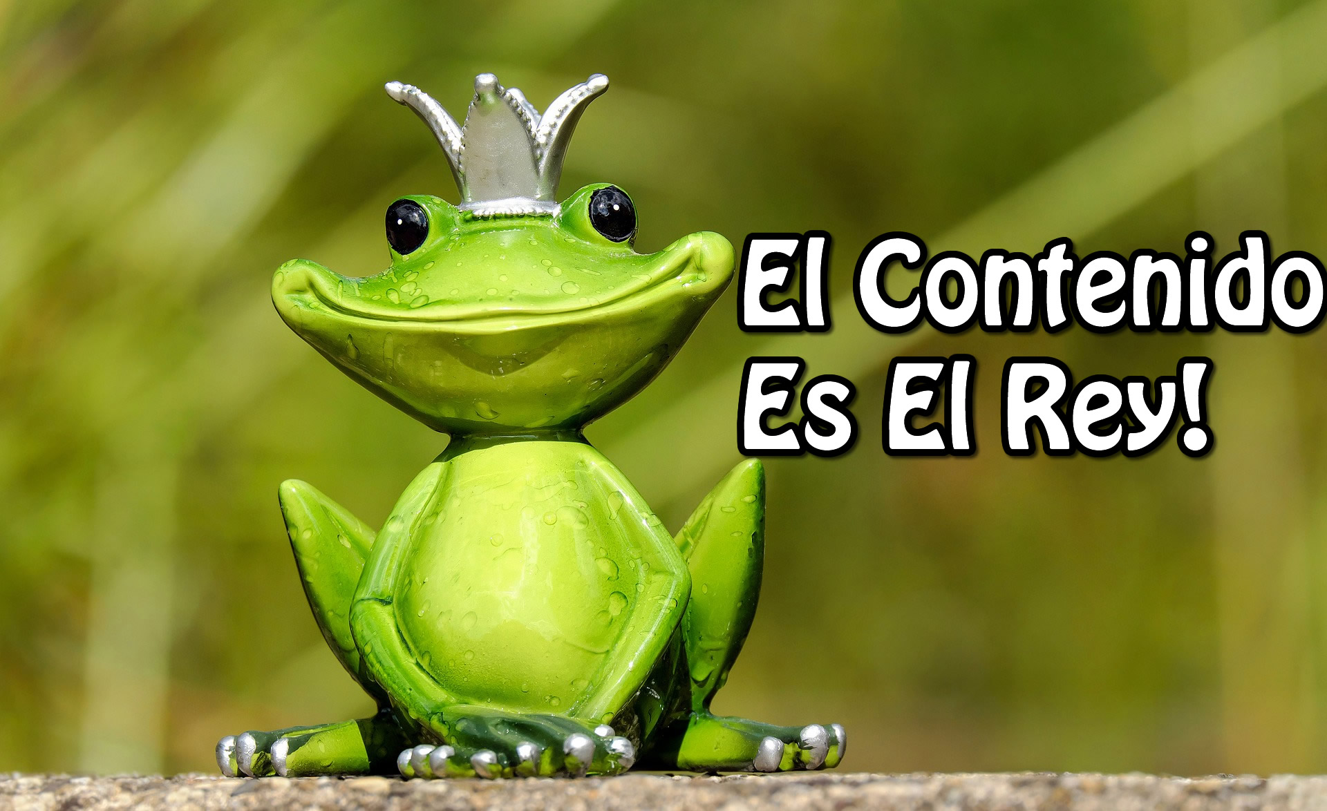 contenido rey.jpg