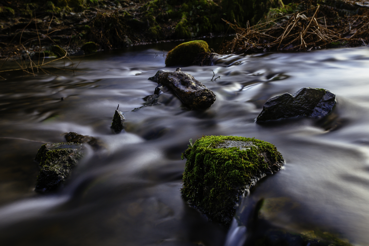 _passingby (1 of 1).jpg