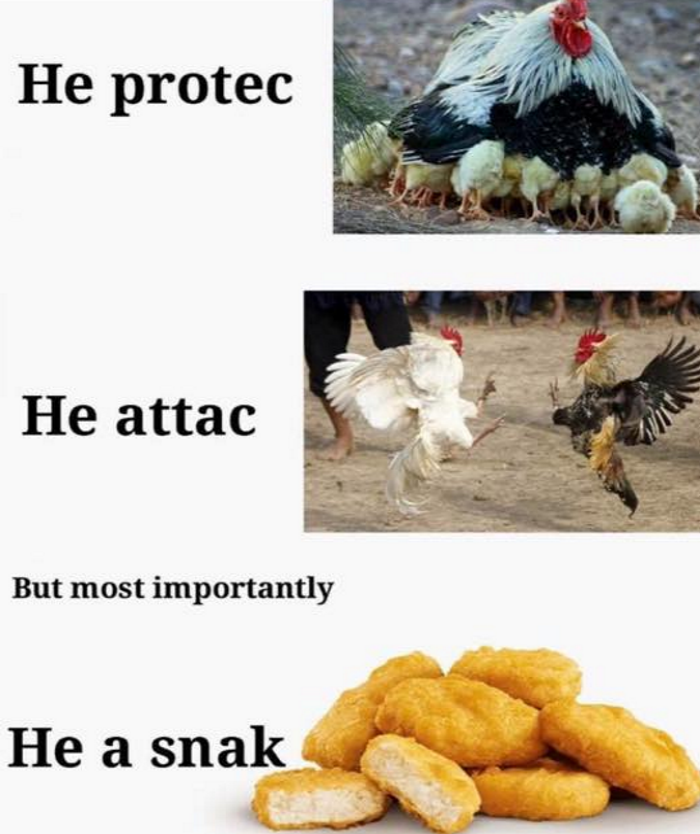 he a snak.png