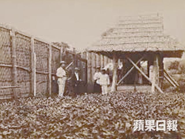 26fb501p.jpg