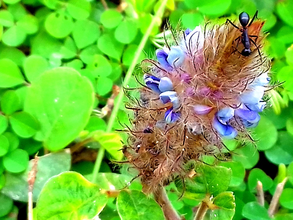 20180119_142433.jpg