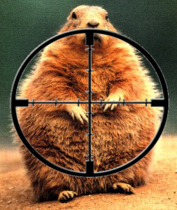 Groundhog Crosshairs.png