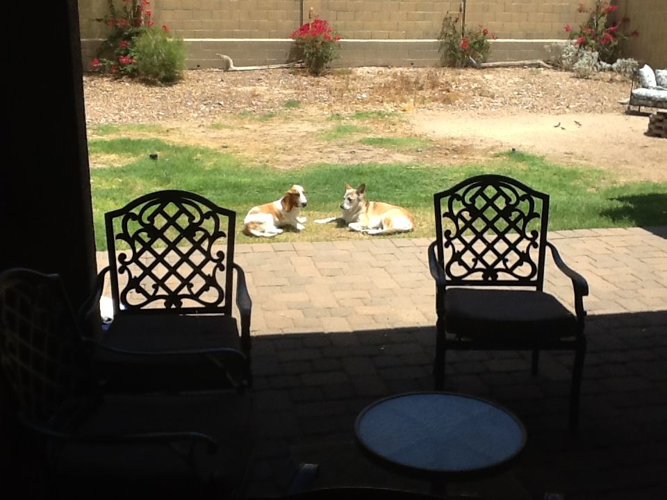 2015-06-10 11.36.26.jpg