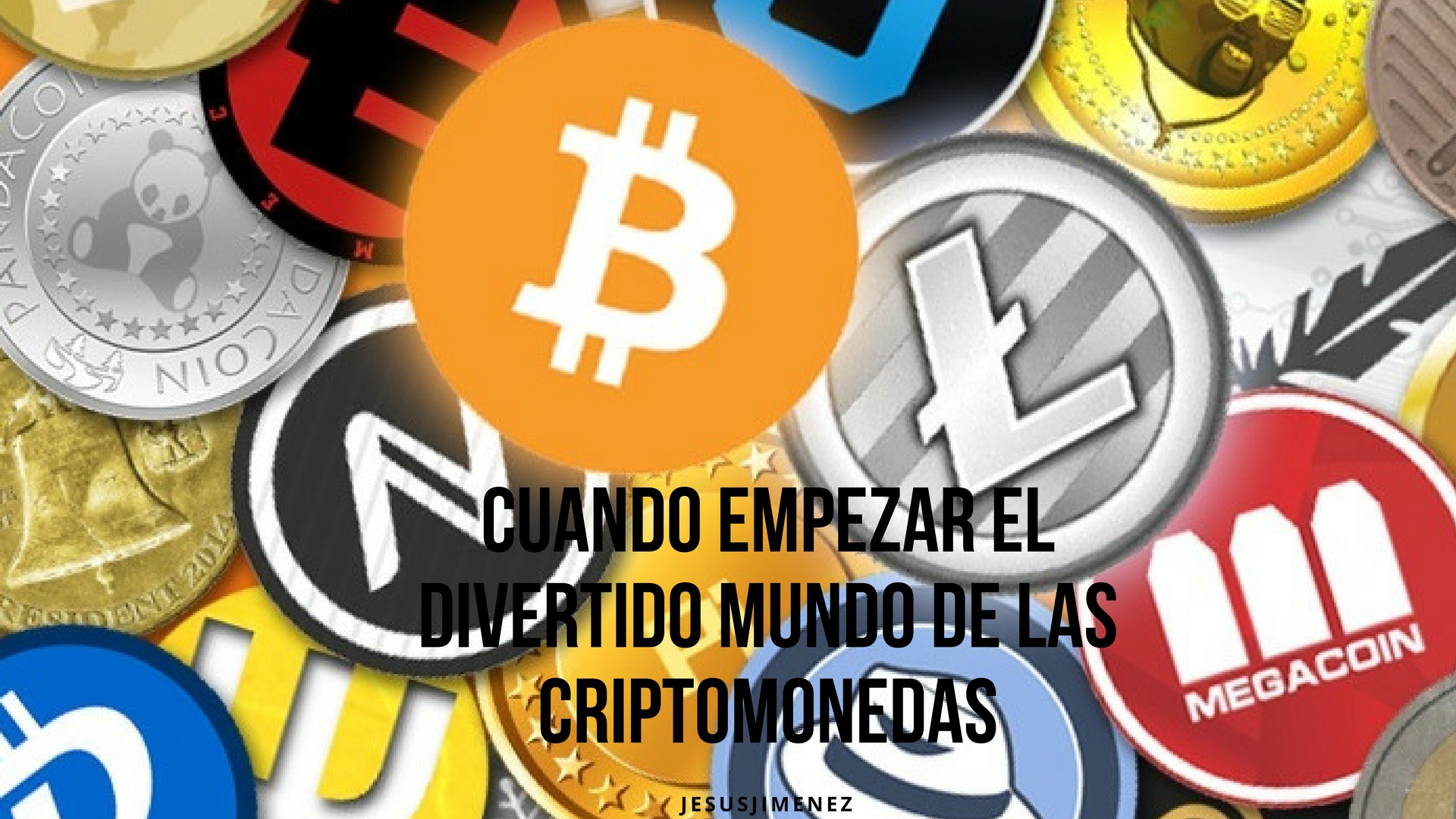 Profit and Loss Statement (1).jpg