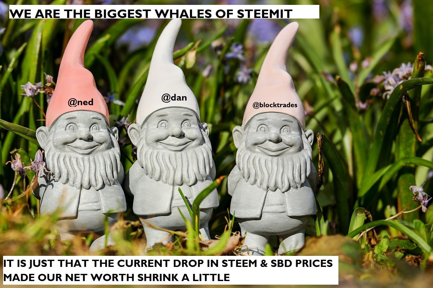 biggestwhales.jpg