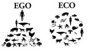 eco ego.png