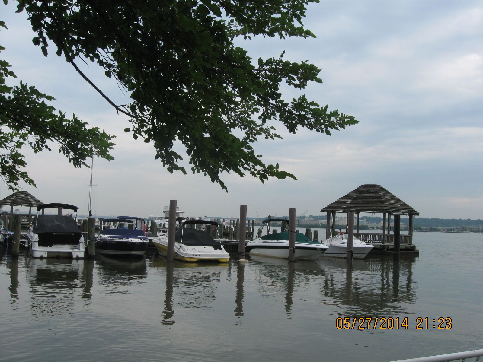 IMG_7012.JPG