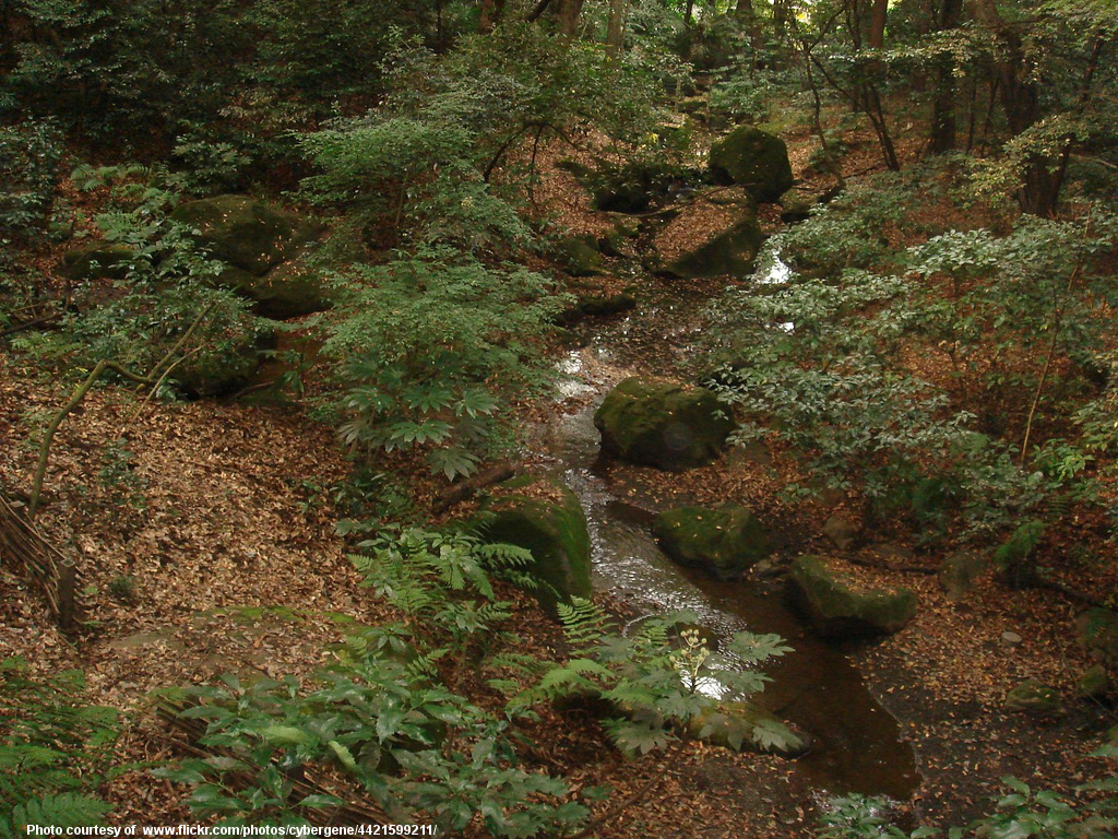 SummerStream-001-082417.jpg