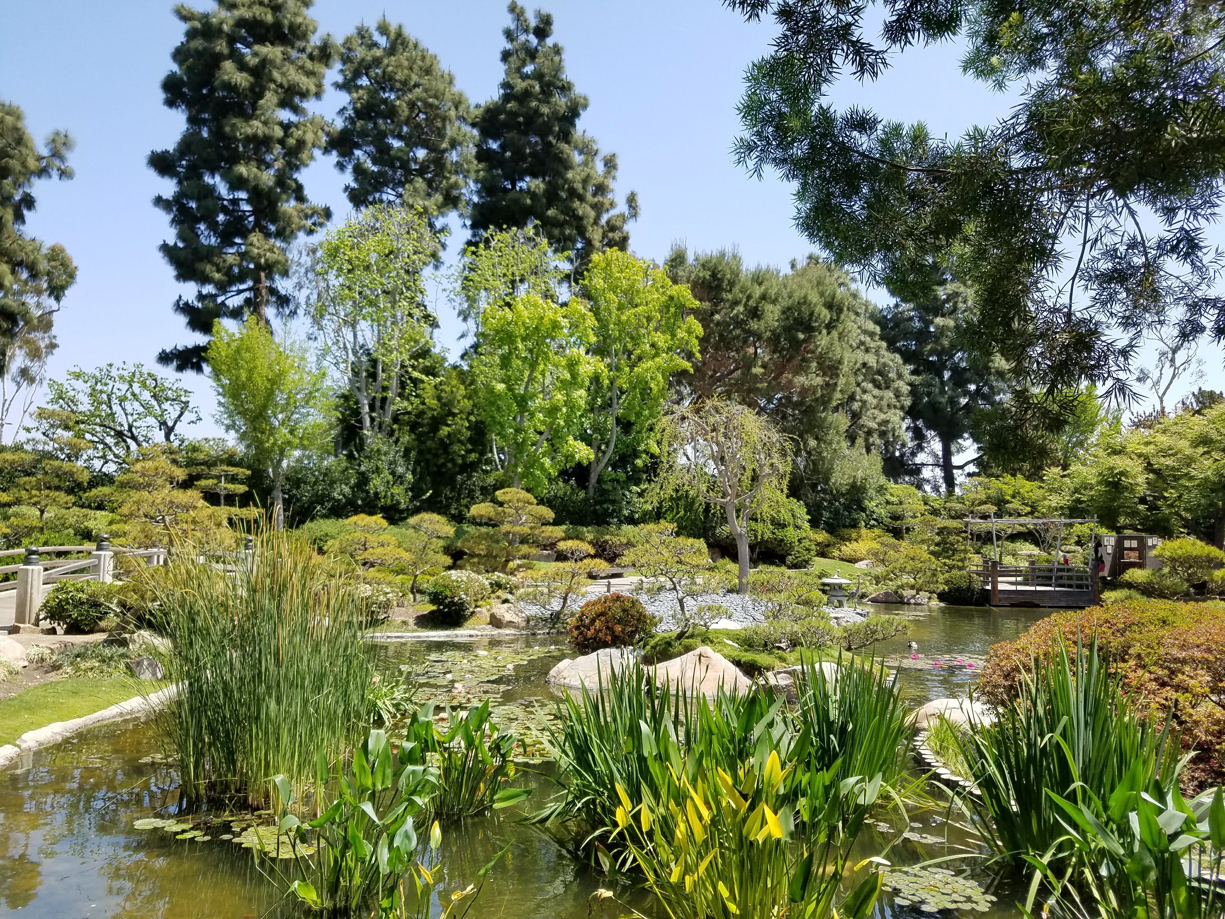 20180427_120307.jpg