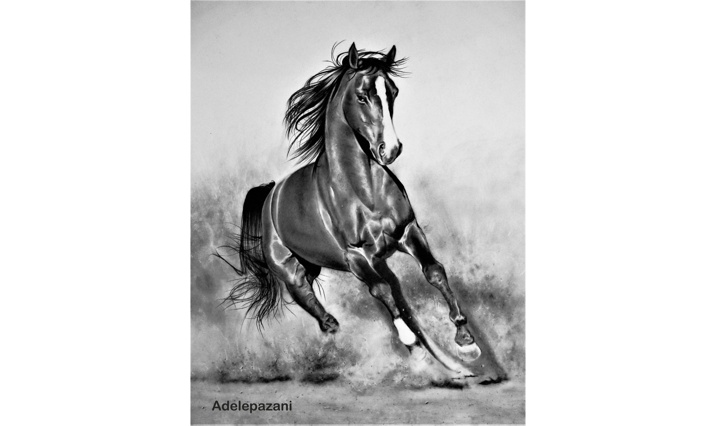 adele pazani (1)wee.jpg