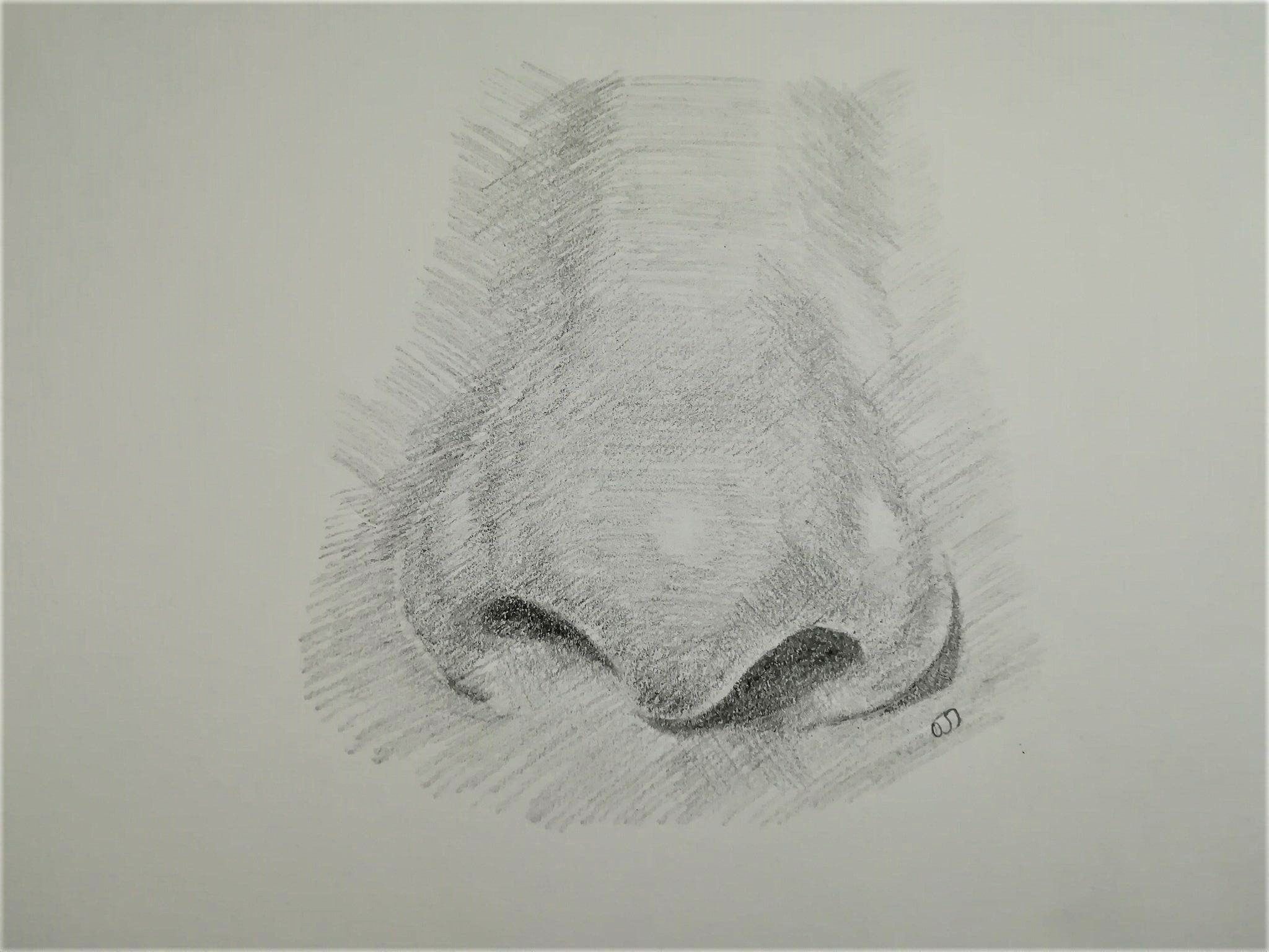 Pencil drawing of the front of the nose plaster from nature Stock Photo by  ©-Yougen- 83479510