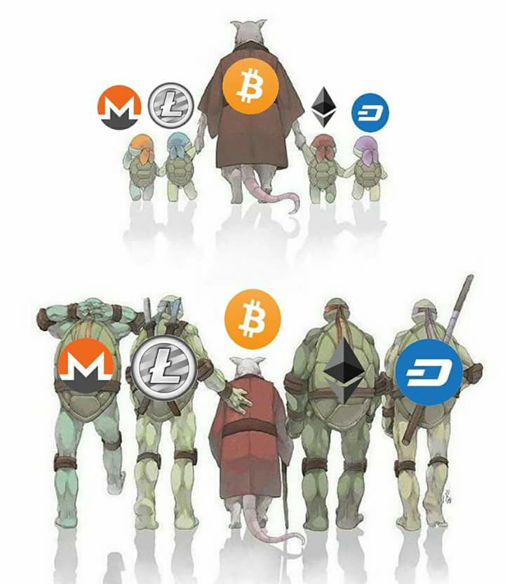 btc.jpg