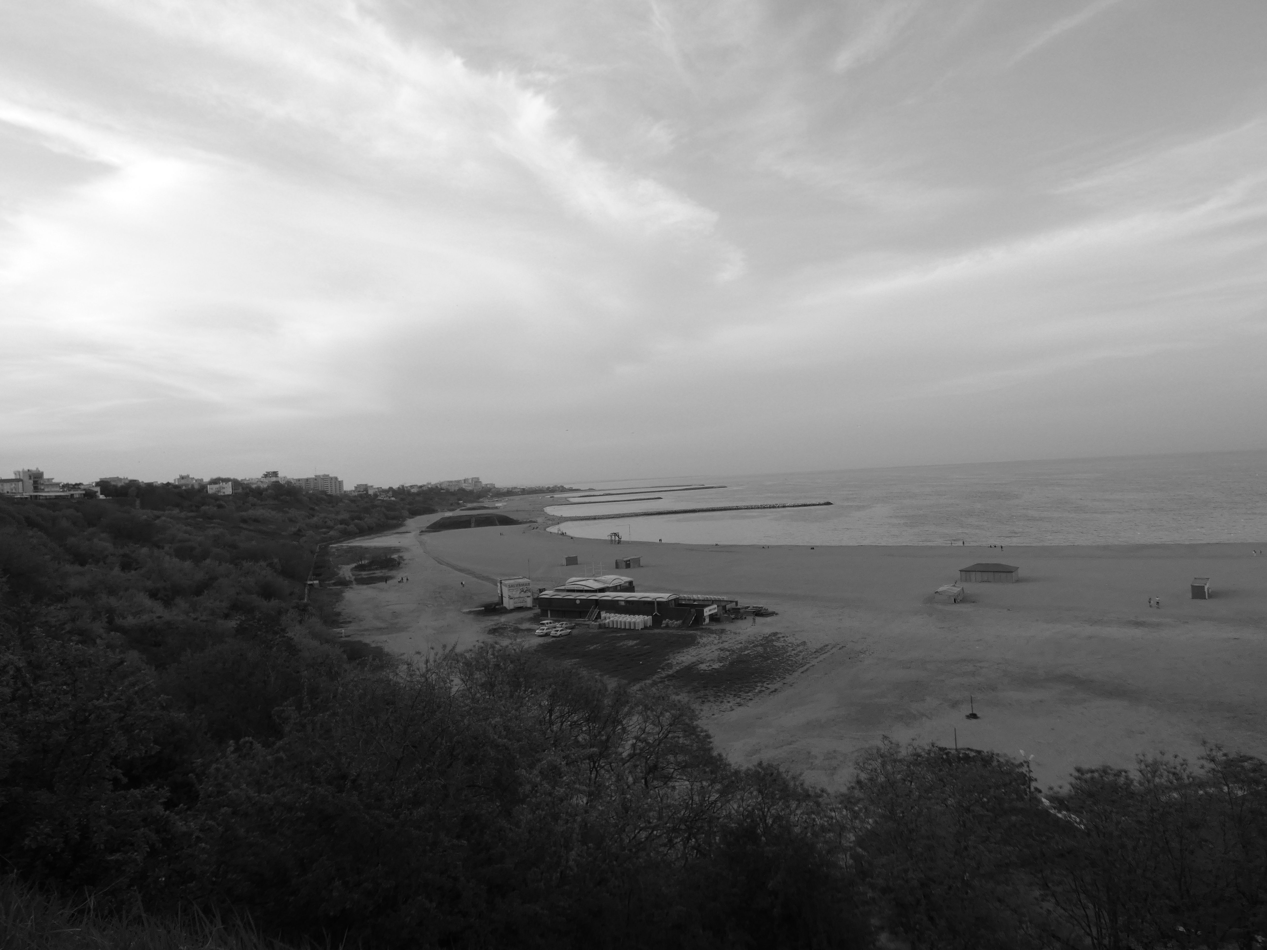 P1010254.JPG