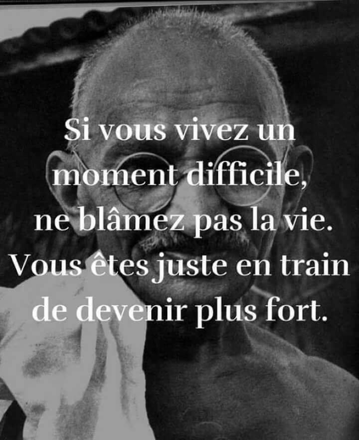 Citation Steemit