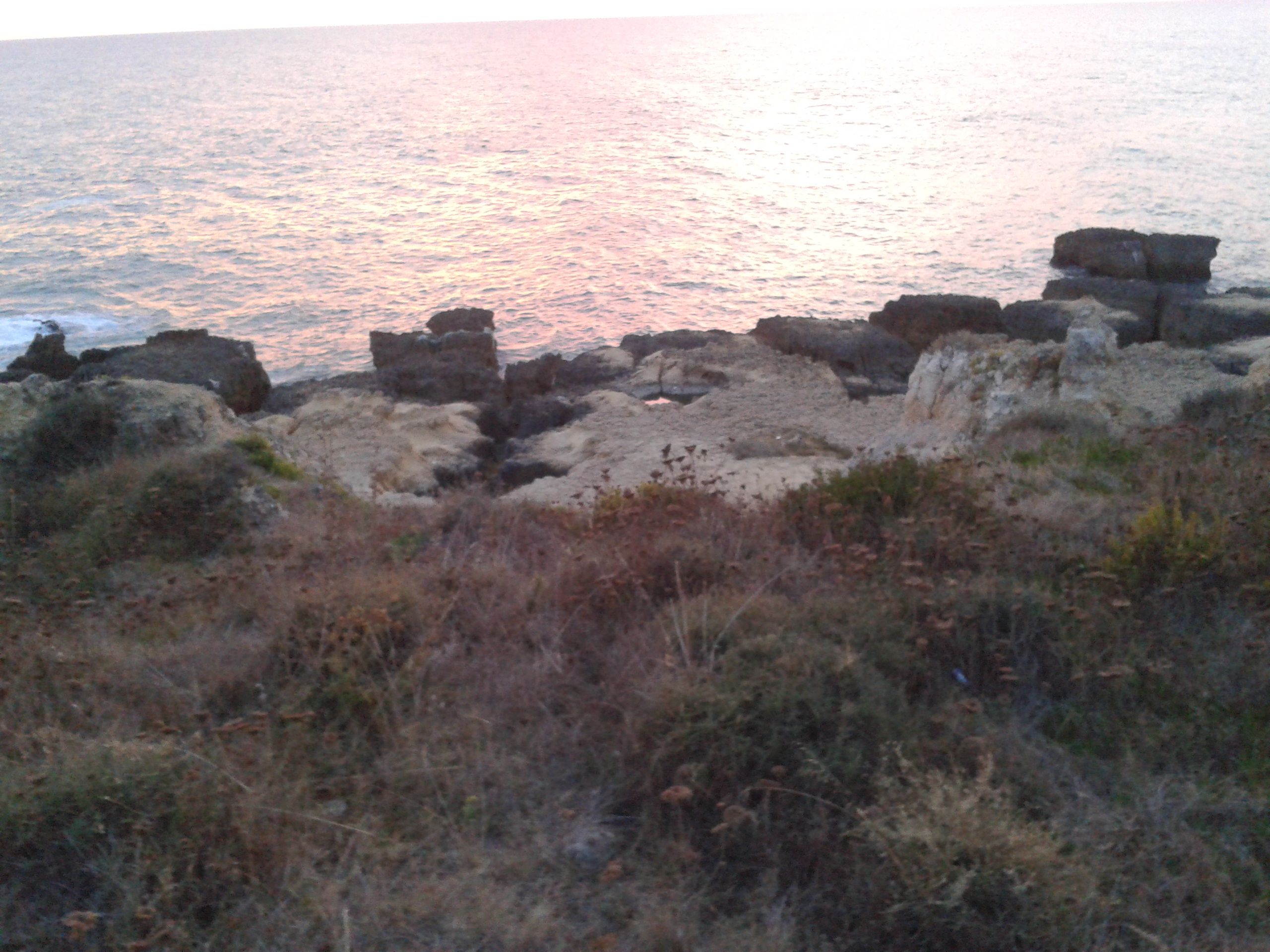 2011-10-16 20.04.38.jpg