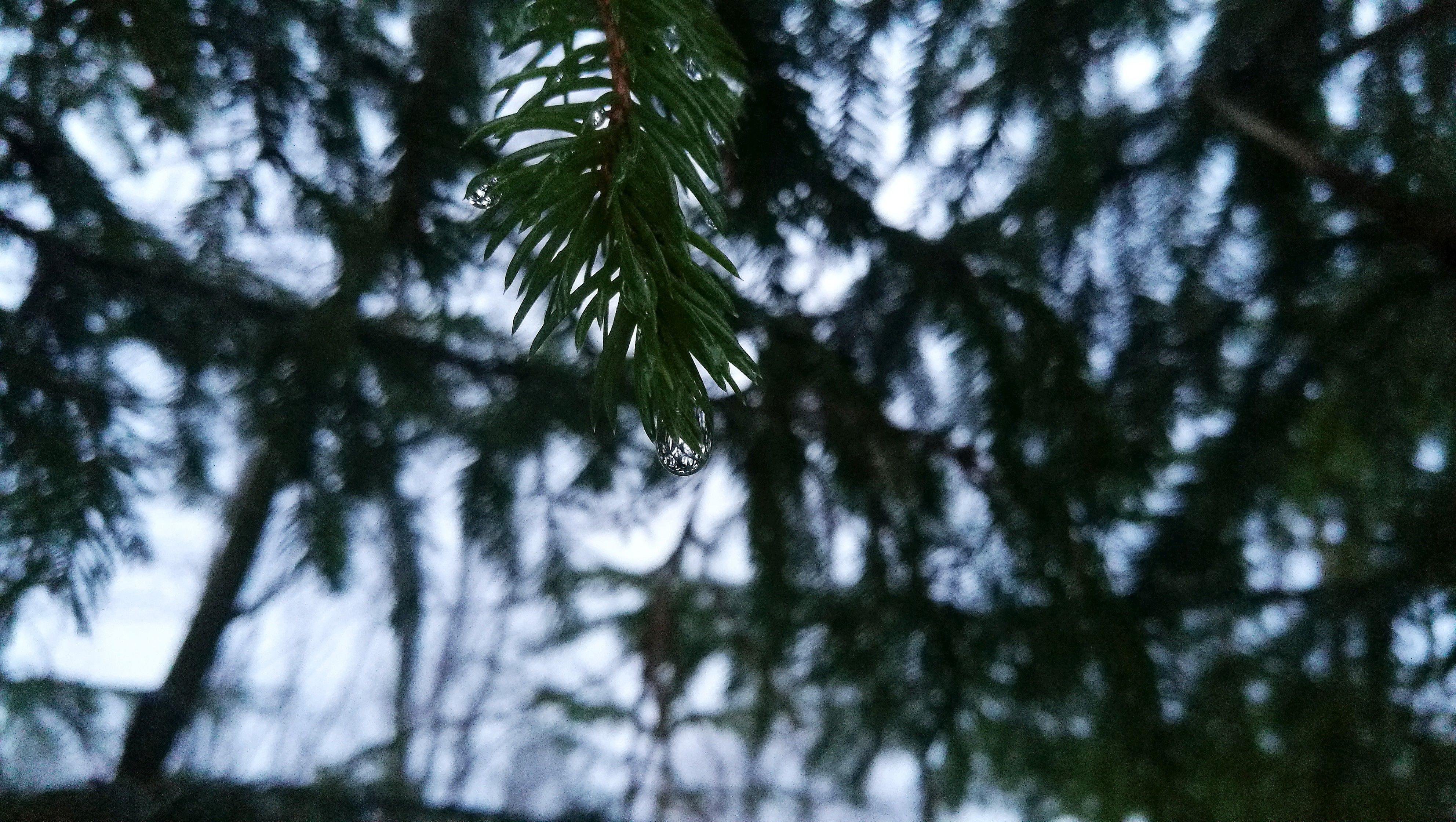 1.IMG_20180307_175820.jpg