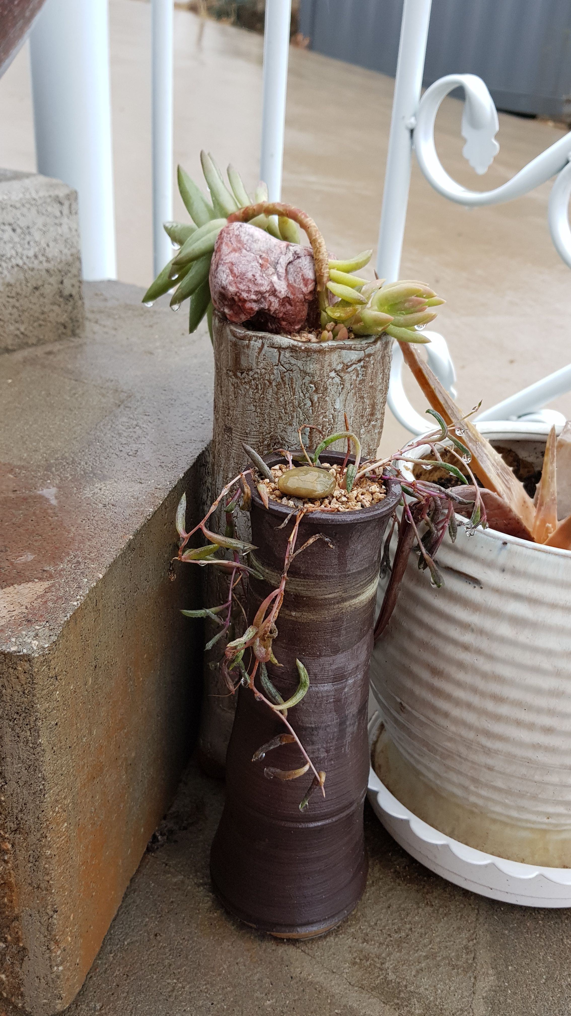 20180414_100739.jpg