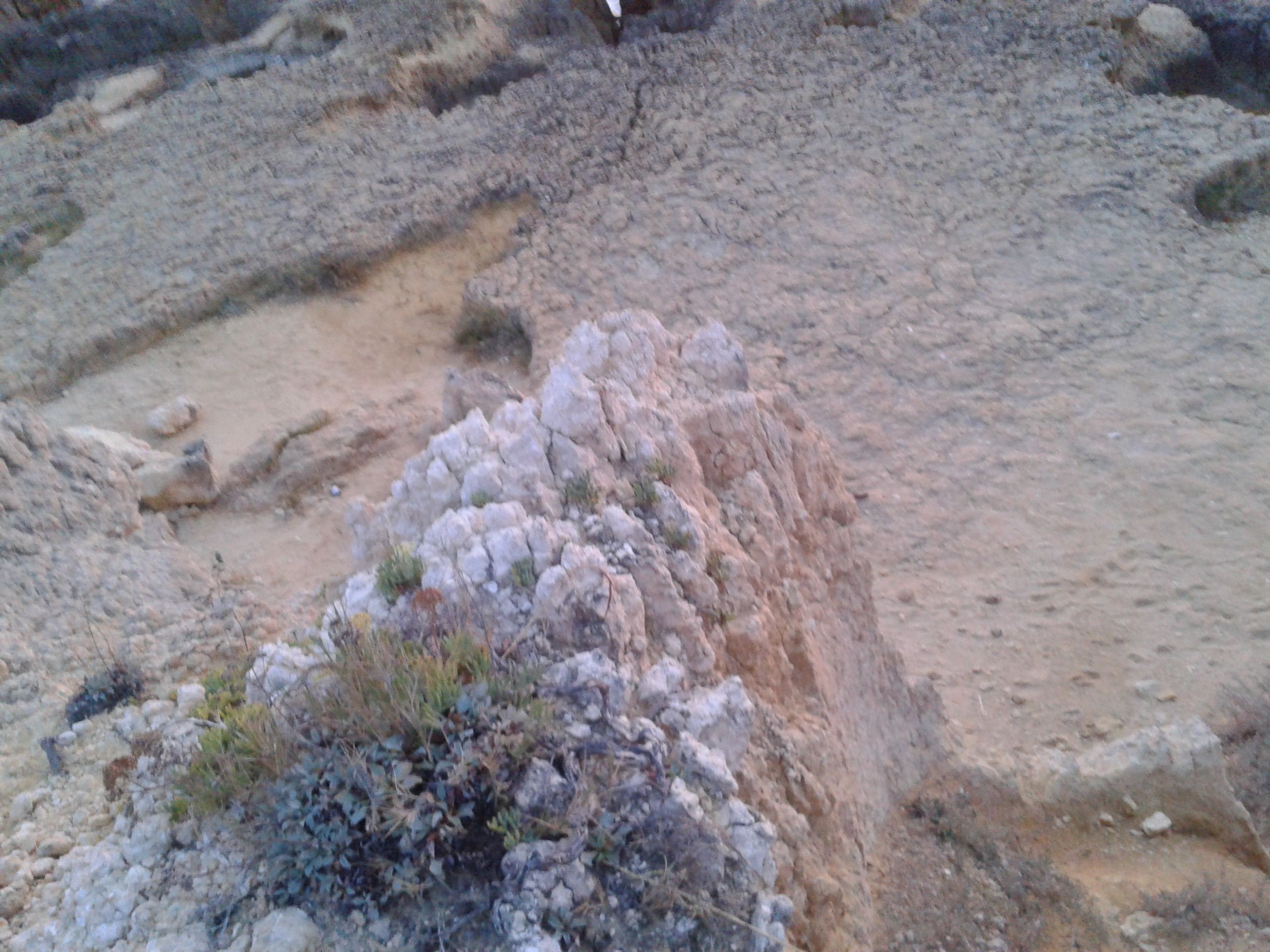 2011-10-16 20.05.20.jpg