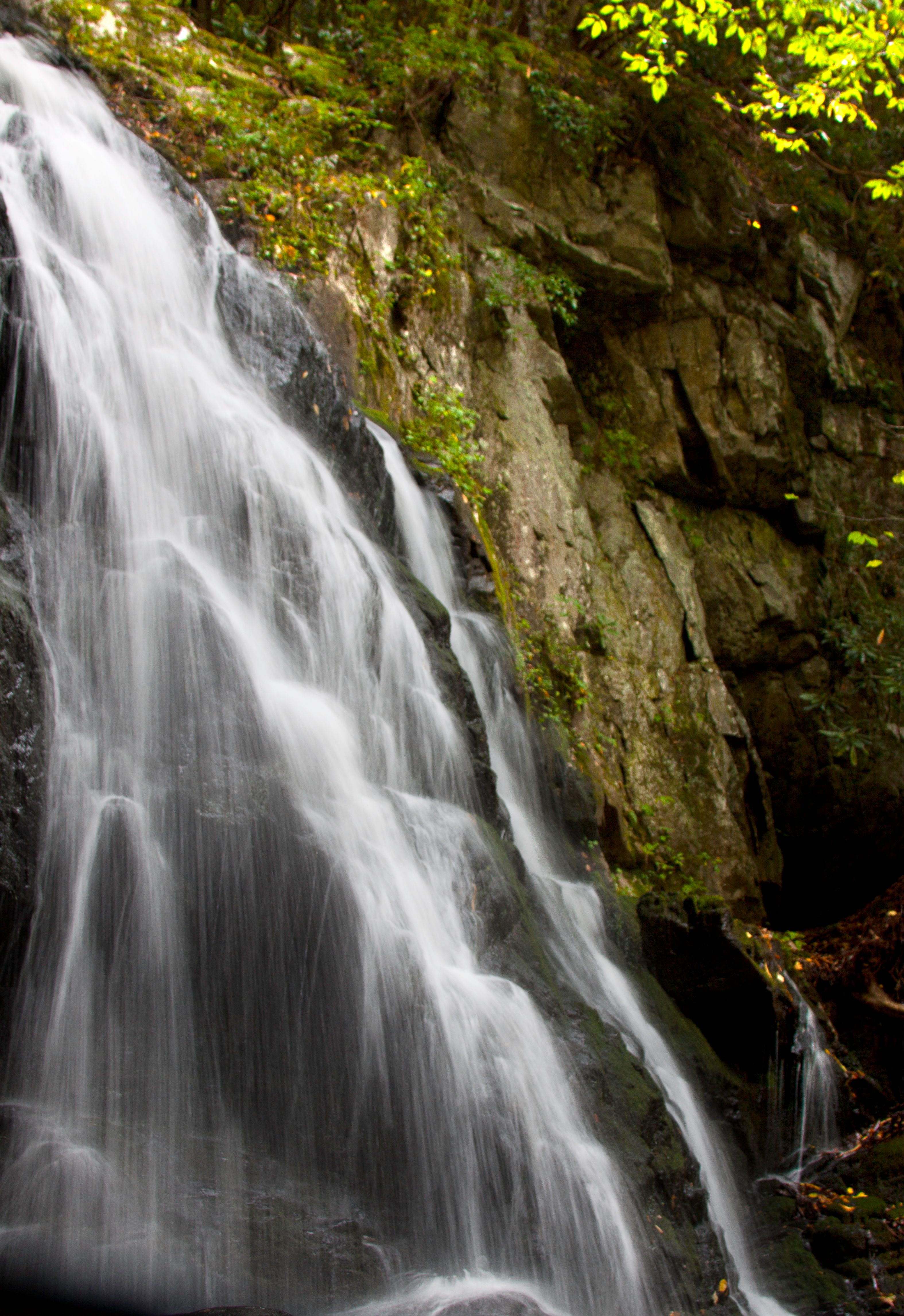 Spruce Flats Falls II.jpg