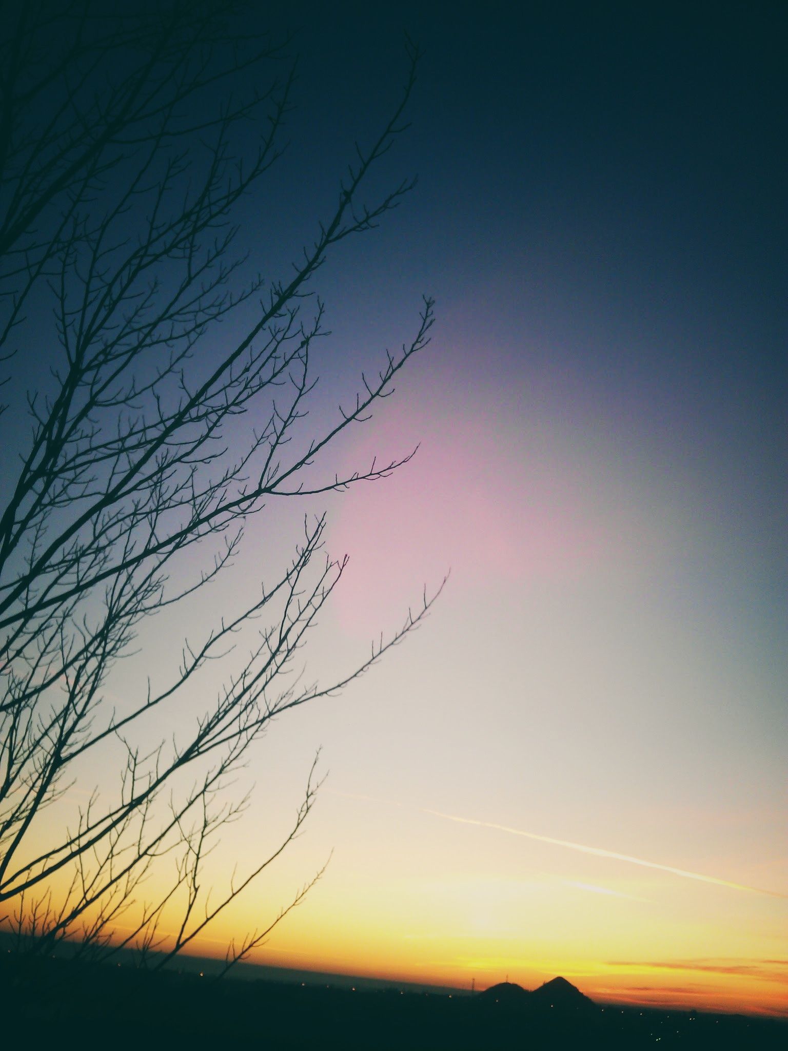IMG_20121111_160442-01.jpeg