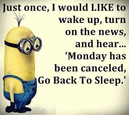 989a717fa63323c9e2f64cd1987b7459--the-minions-minion-jokes.jpg