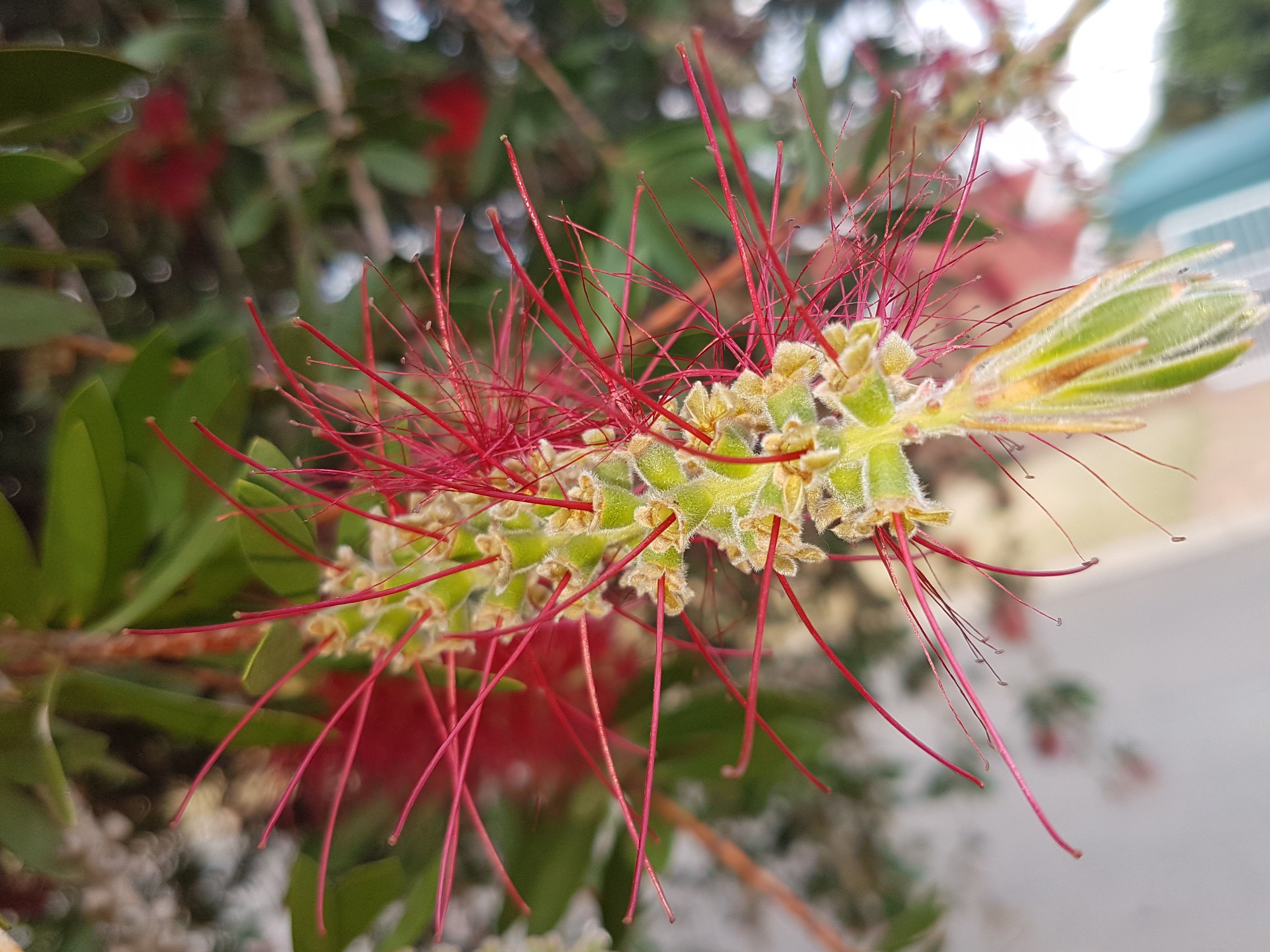 20171002_135950.jpg