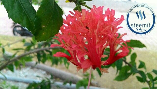 PicsArt_09-19-06.46.27.jpg