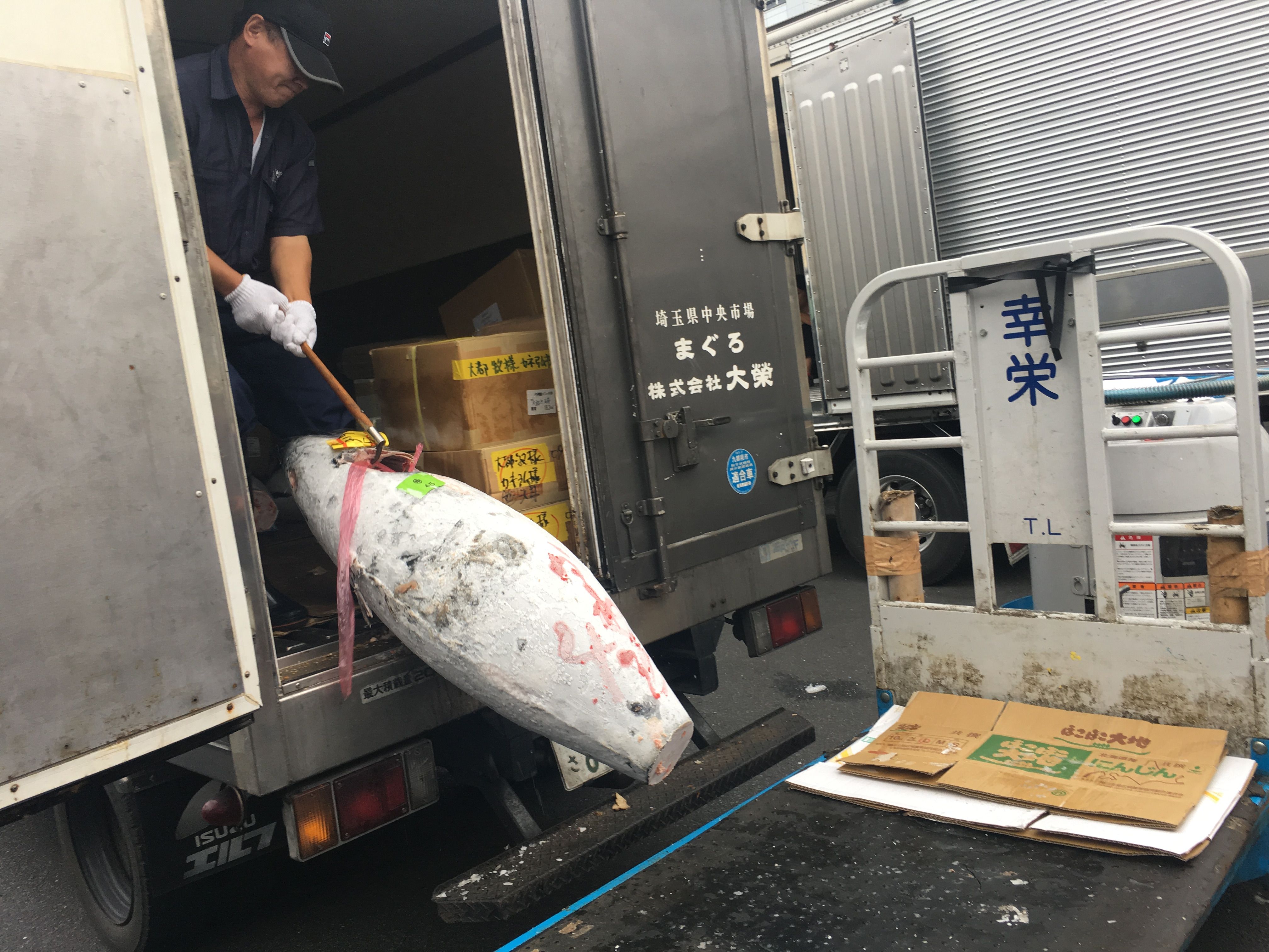 tsukiji-market-tuna-foodbaby.JPG