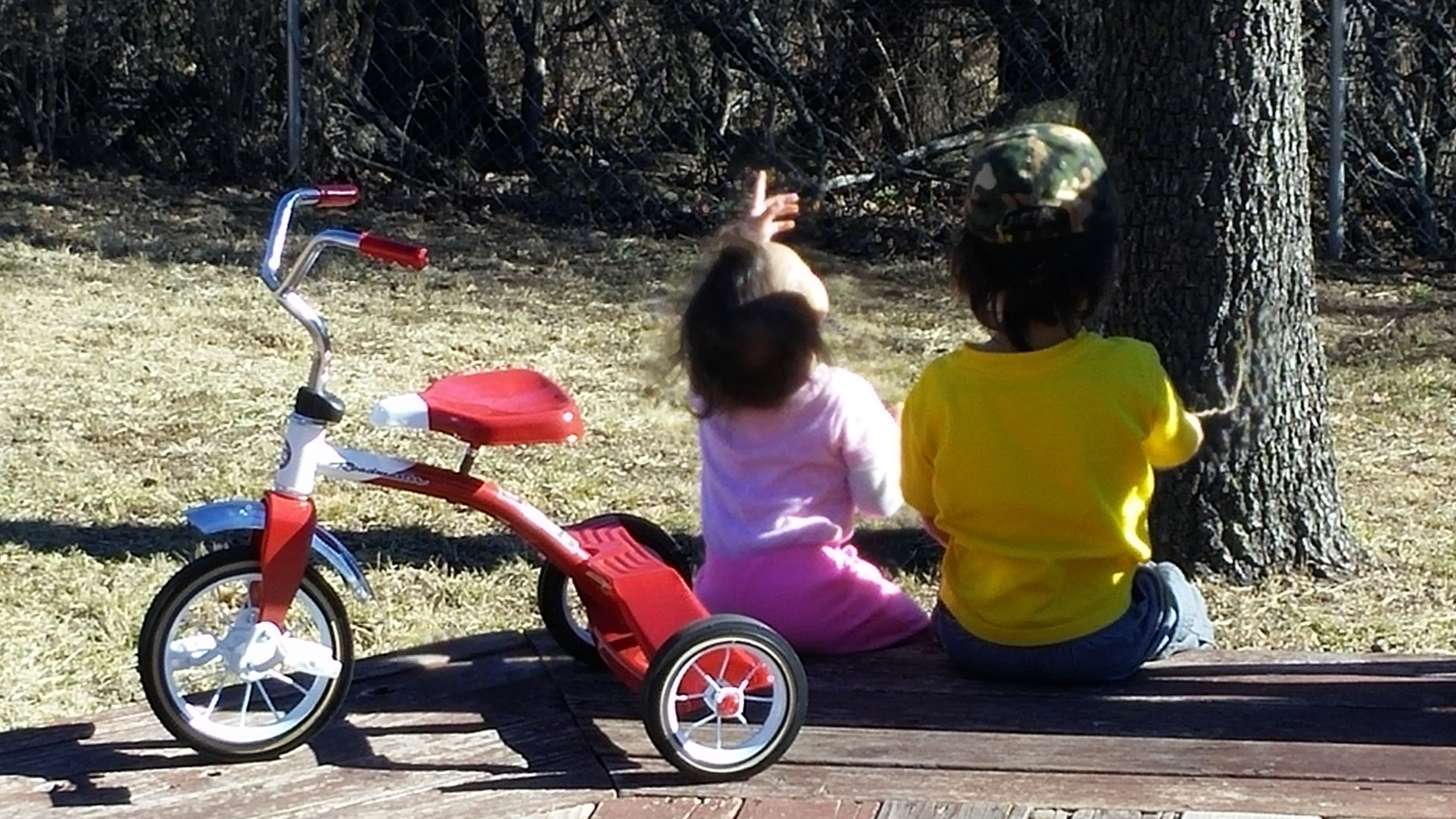 20150116_120123.jpg