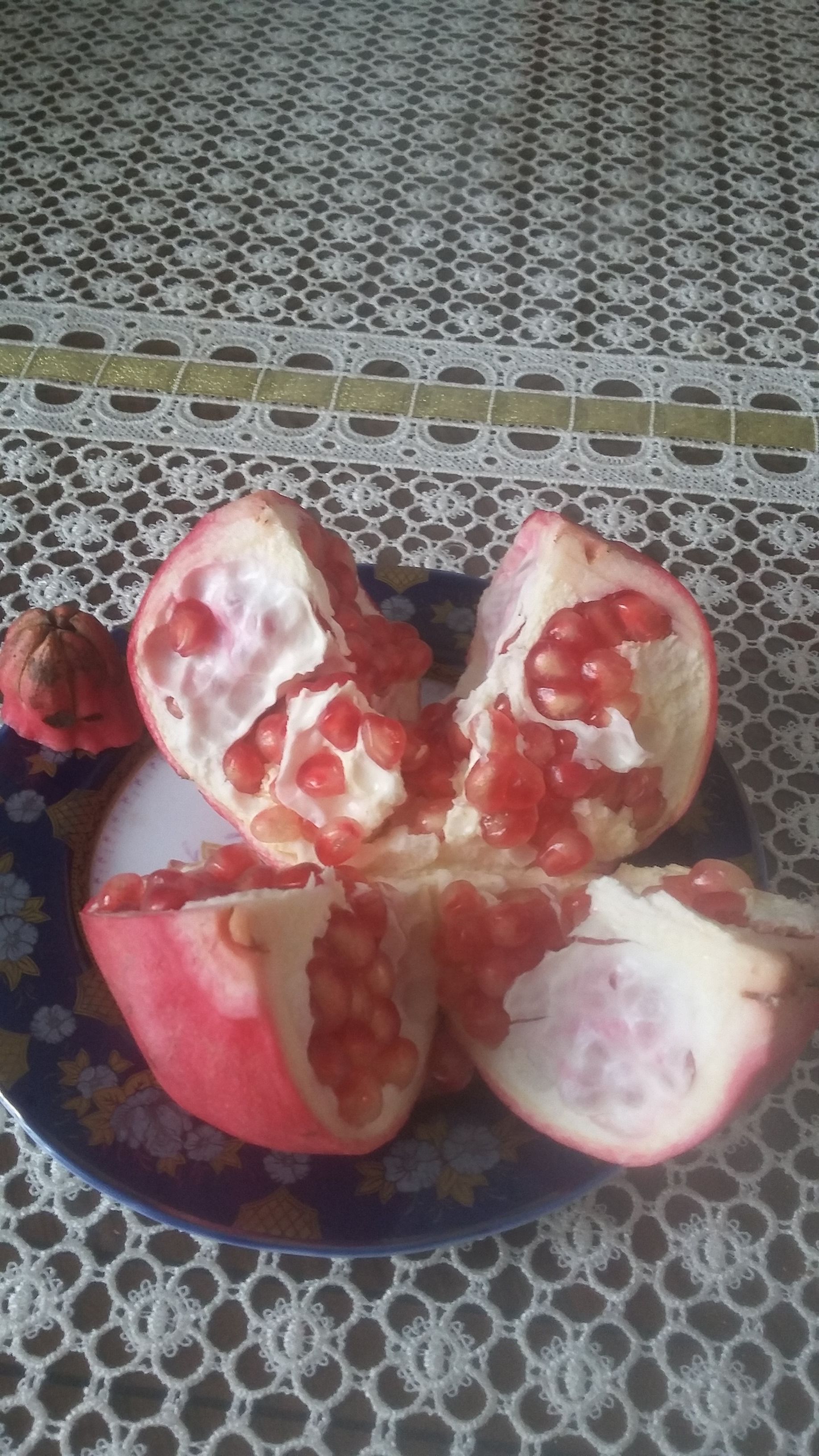 20171008_114502.jpg