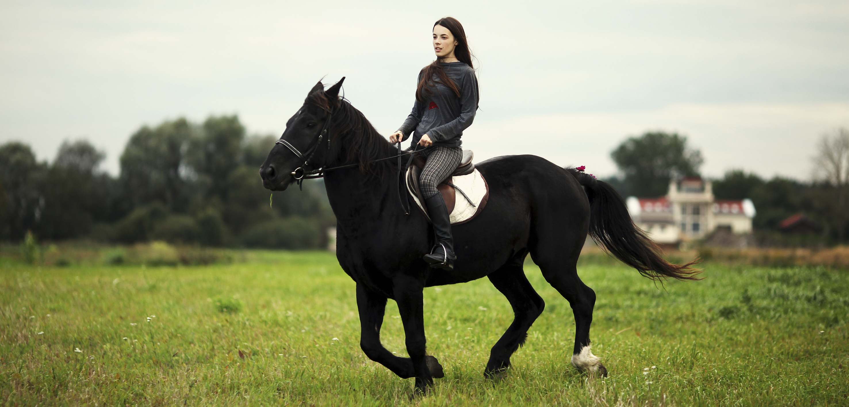 Animals___Horses_Horse_and_rider_053763_.jpg