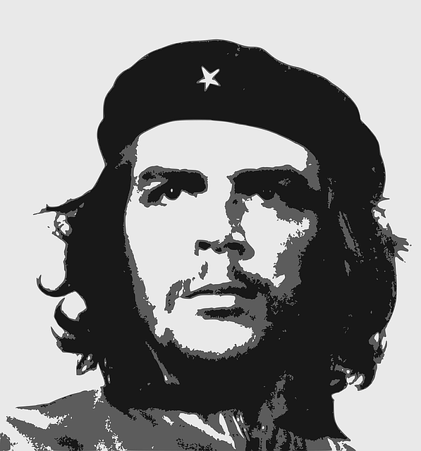 che-1296945_640.png
