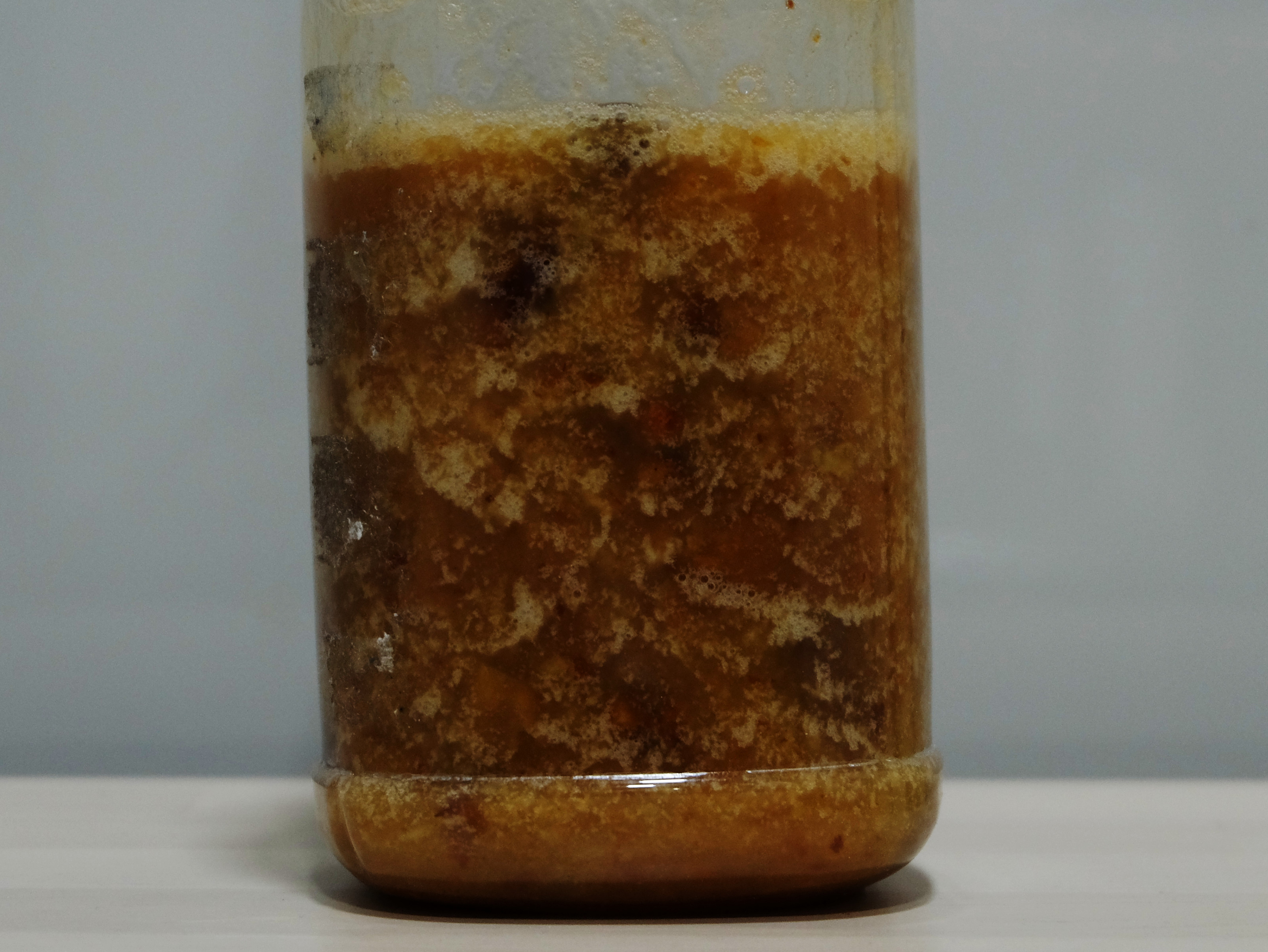 20180130_yeast_water_in_winter_01.jpg