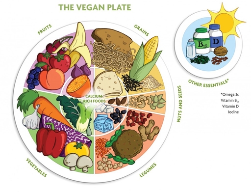 rsz_the-vegan-plate.jpg