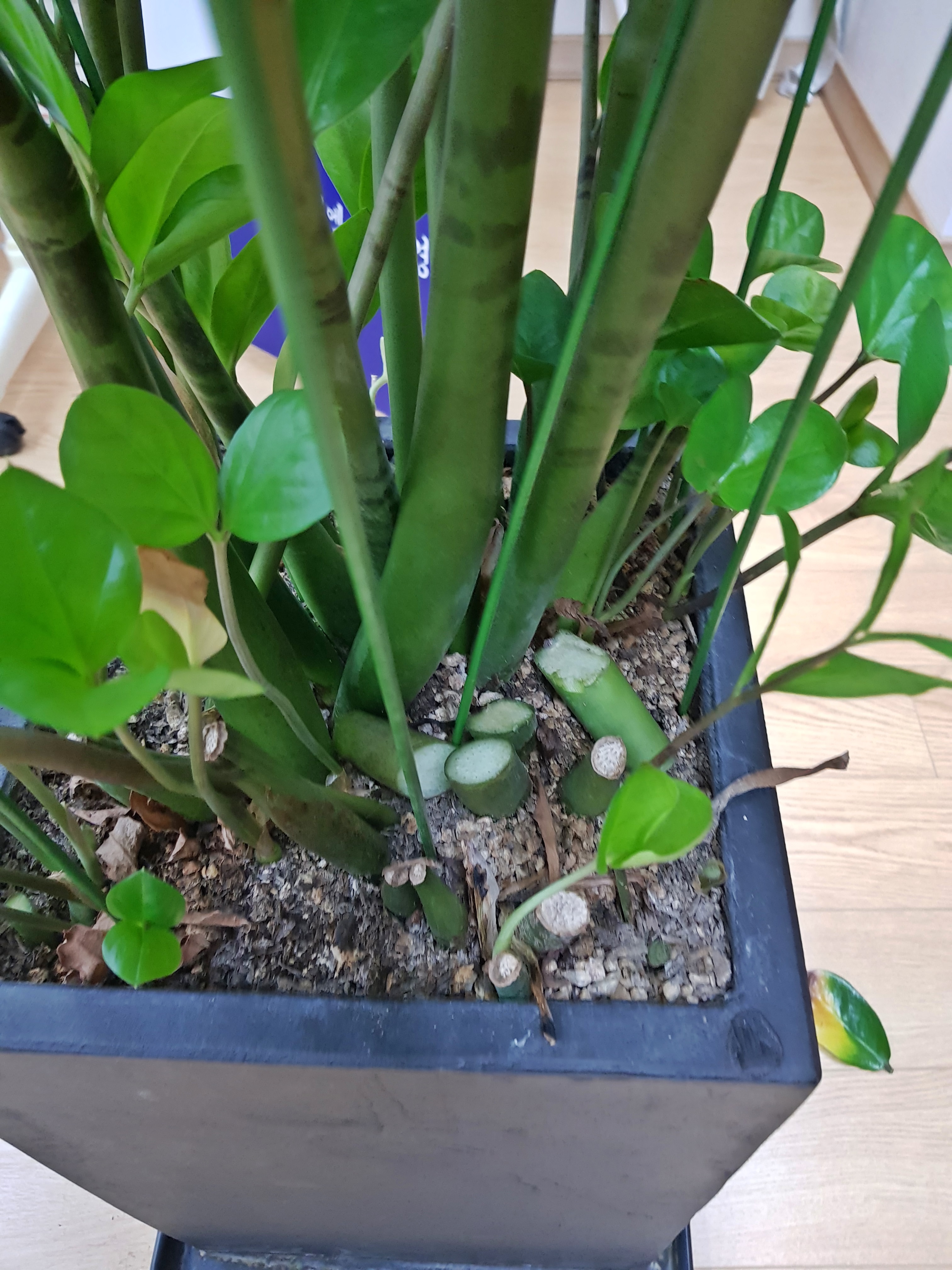 20180316_140641.jpg