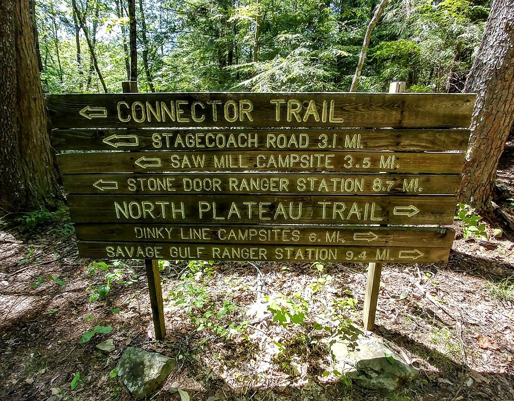 Backpacking Savage Gulf In Tennessee With My Husky Steemit