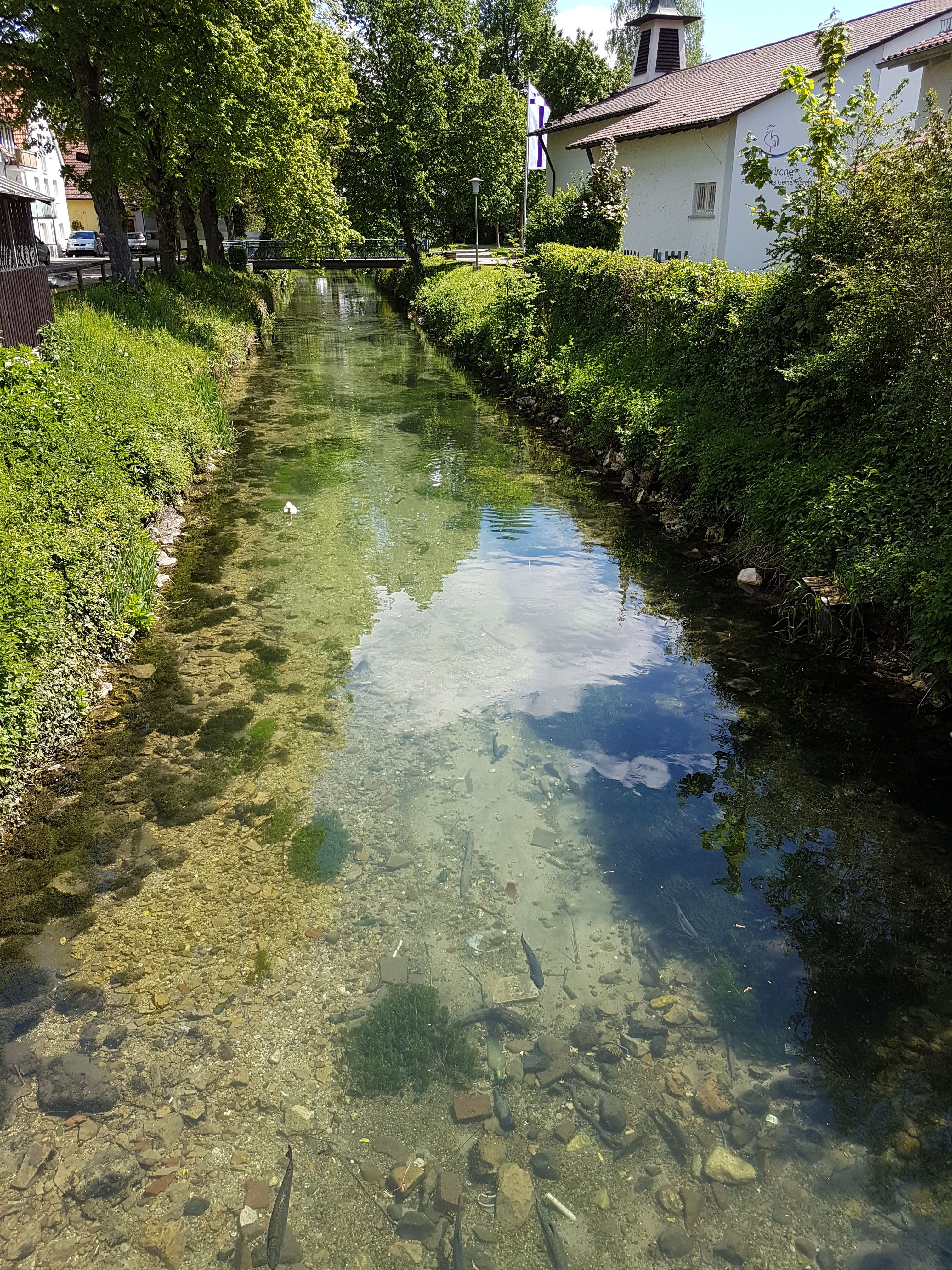 20170521_140252.jpg