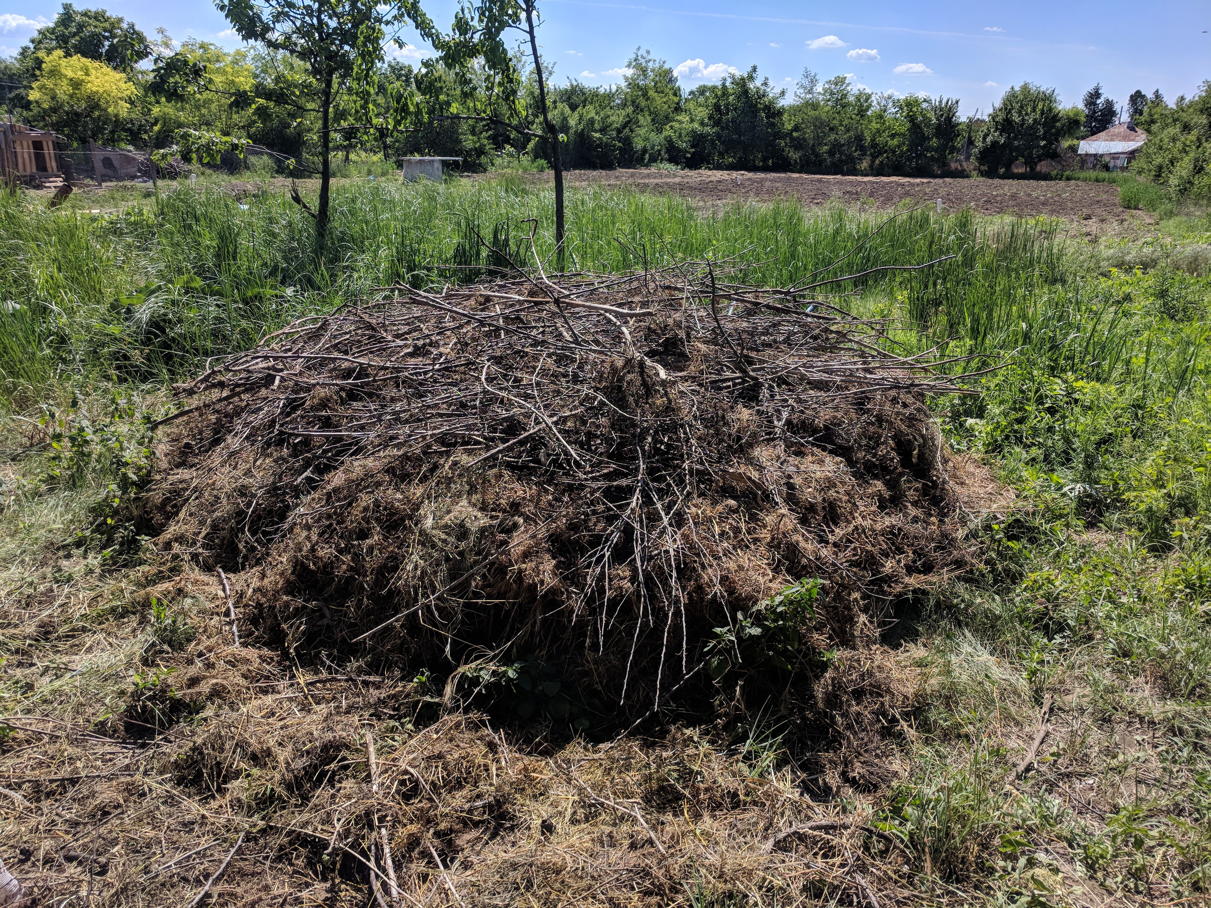 compost platform.jpg