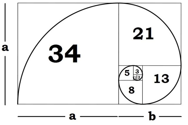 fibonacci-spiral-explanation.jpg