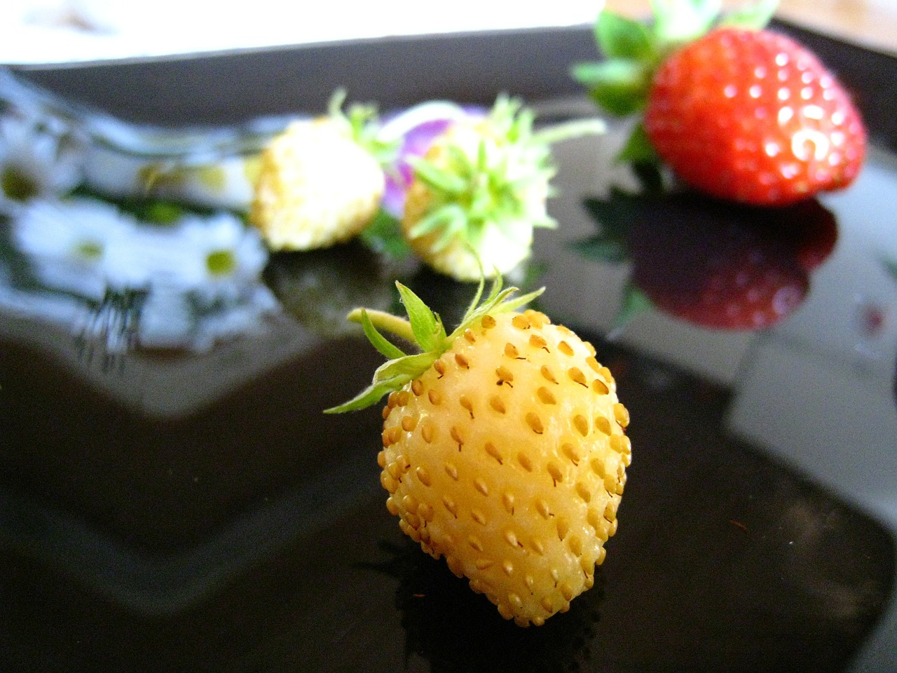 wild-strawberry-99409_1280.jpg